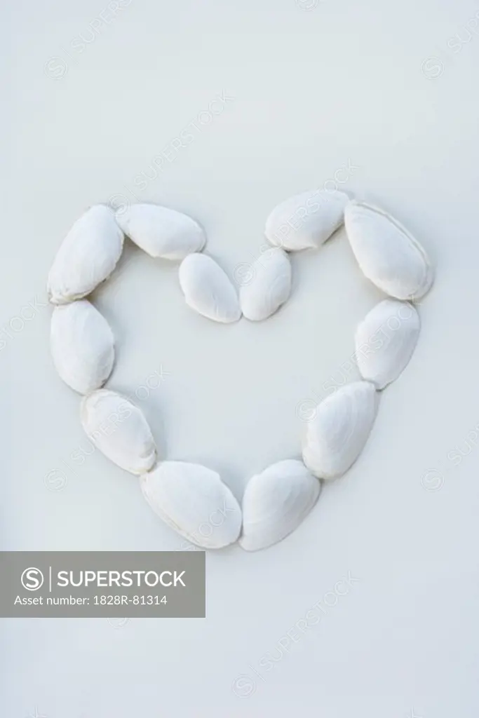 Seashells in the Shape of a Heart