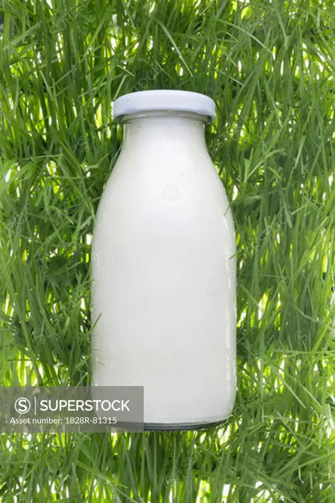 Milk Bottle on Artificial Grass