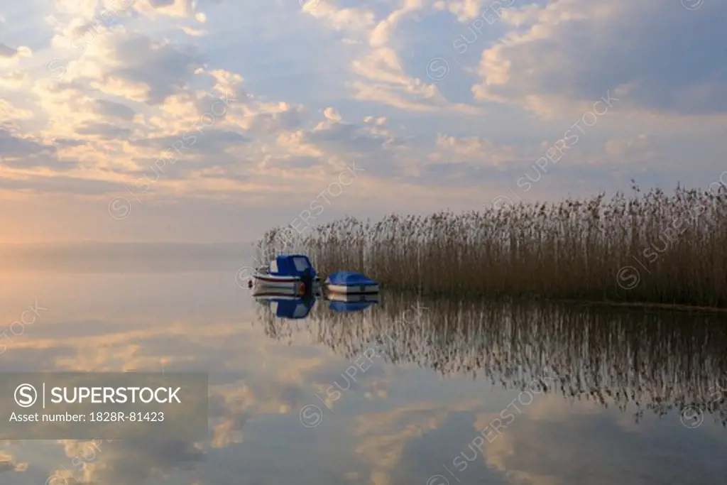 Moored Boats by Reeds at Sunrise, Plauer See, Plau am See, Mecklenburg Lake District, Mecklenburg-Vorpommern, Germany