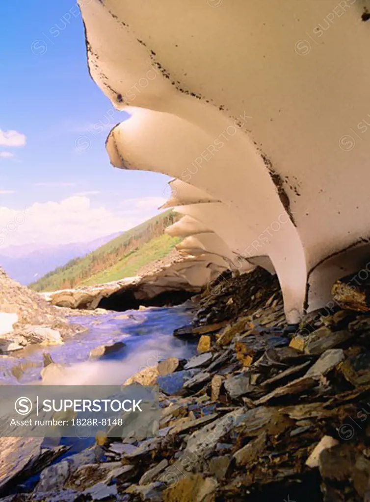 Snow Remnant and Runoff, Middle Mountain, Northern Rockies British Columbia, Canada   