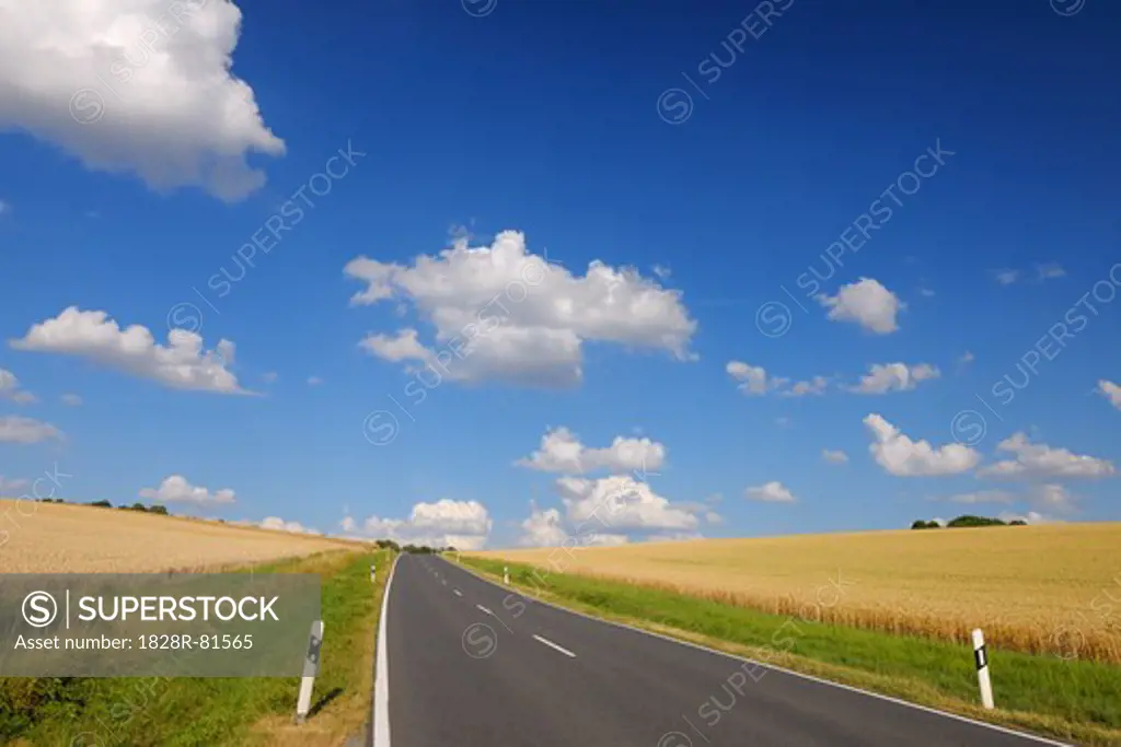 Country Road and Wheat Fields, Marktheidenfeld, Franconia, Bavaria, Germany