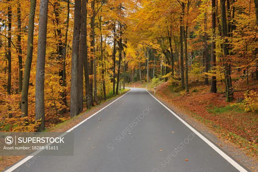 Single Track Road, Mossautal, Odenwaldkreis, Darmstadt Region, Hesse, Germany