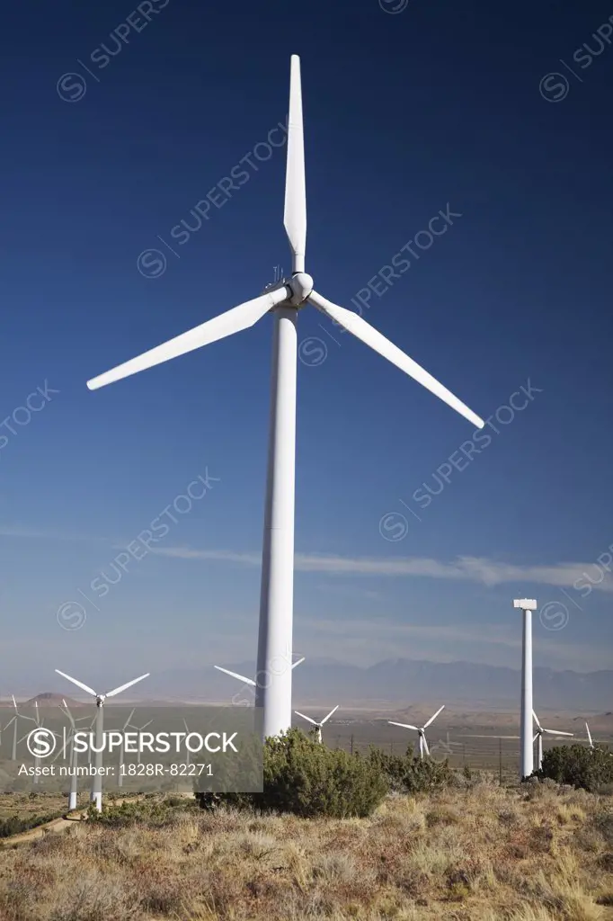 Tehachapi Pass Wind Farm, Tehachapi, Kern County, California, USA