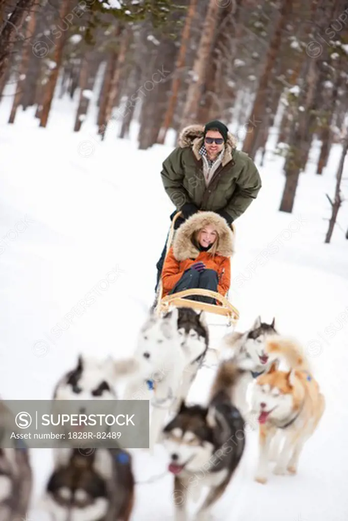 Couple Dog Sledding, Frisco, Summit County, Colorado, USA