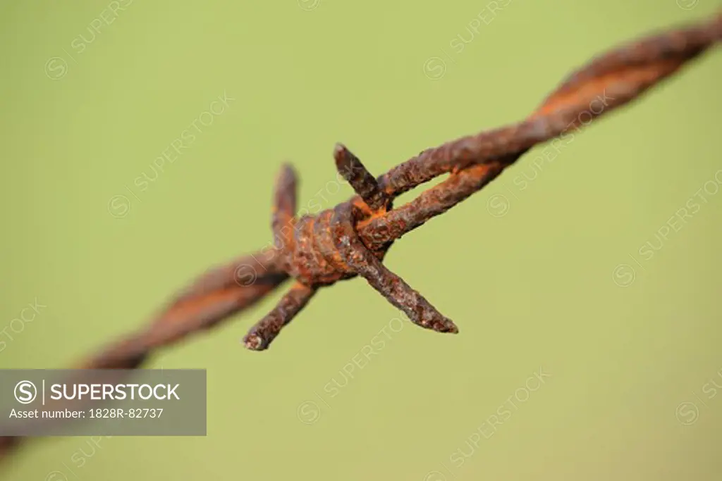 Rusty Barbed Wire, Hesse, Germany