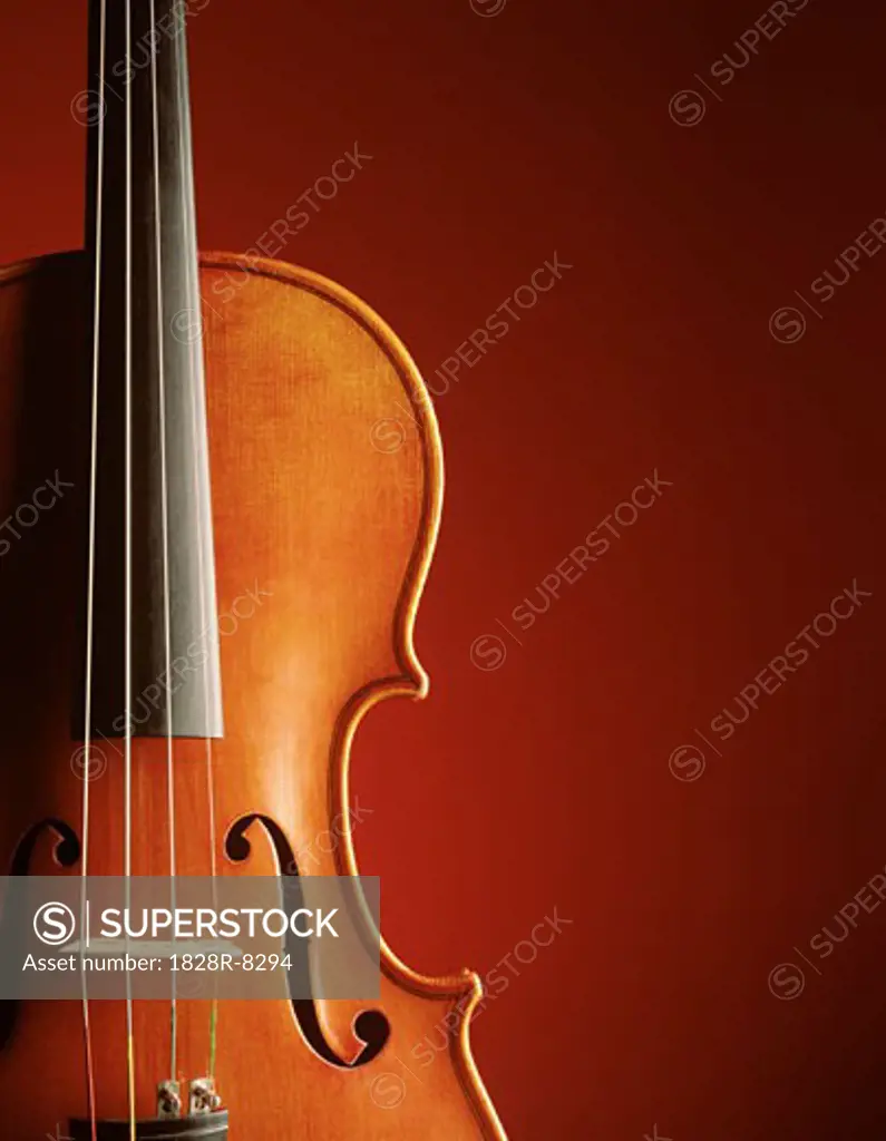 Violin   