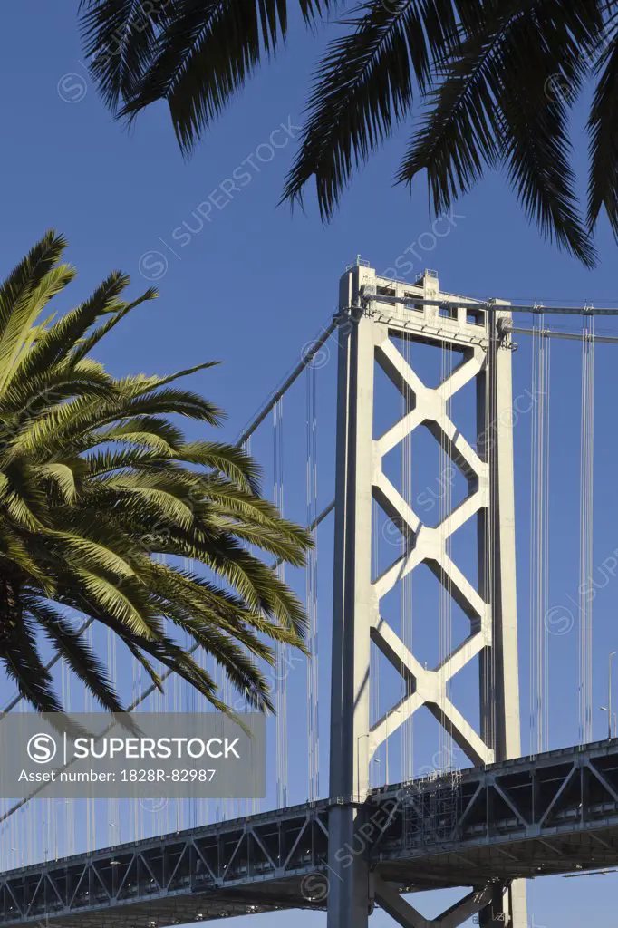 Bay Bridge with Palm Trees, Embarcadero, San Francisco, California, USA
