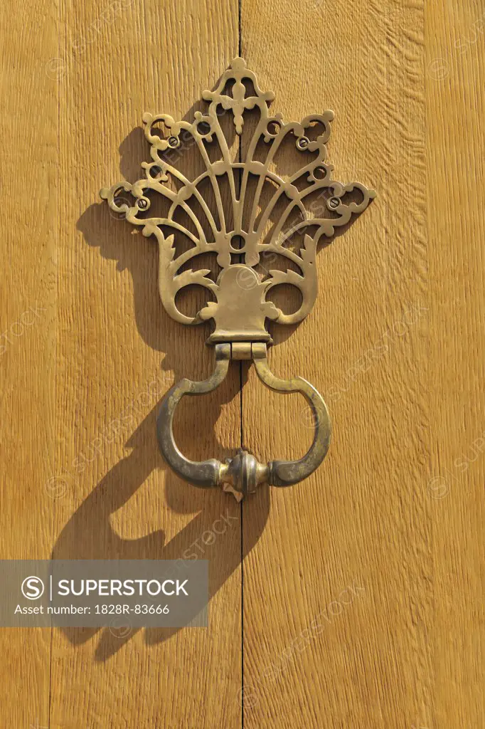 Brass Door Knocker on Oak Door, Brussels, Belgium