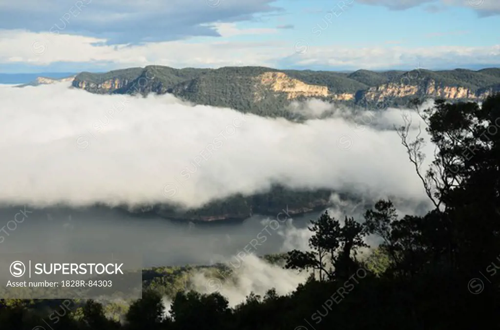 Morning Fog at Lake Burragorang, Burragorang State Conservation Area, New South Wales, Australia