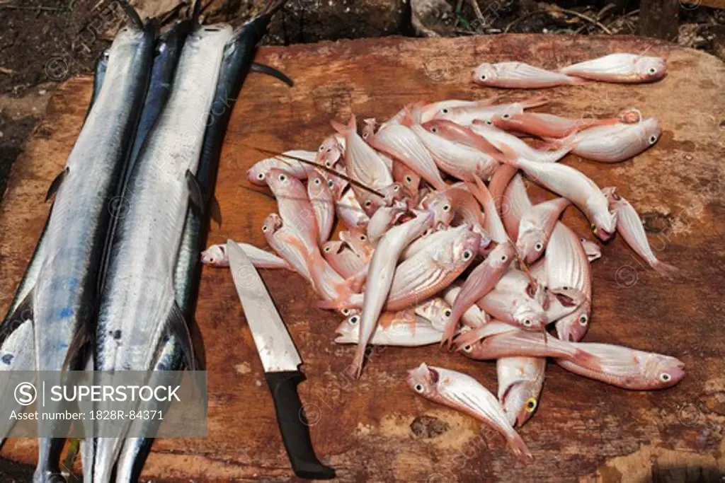Fresh Fish, Stone Town, Unguja, Zanzibar, Tanzania