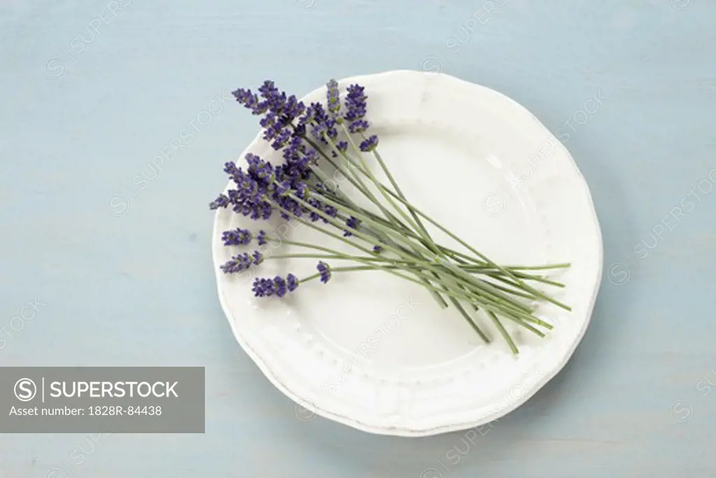 Lavender on Plate