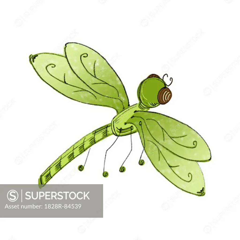 Illustration of Dragonfly