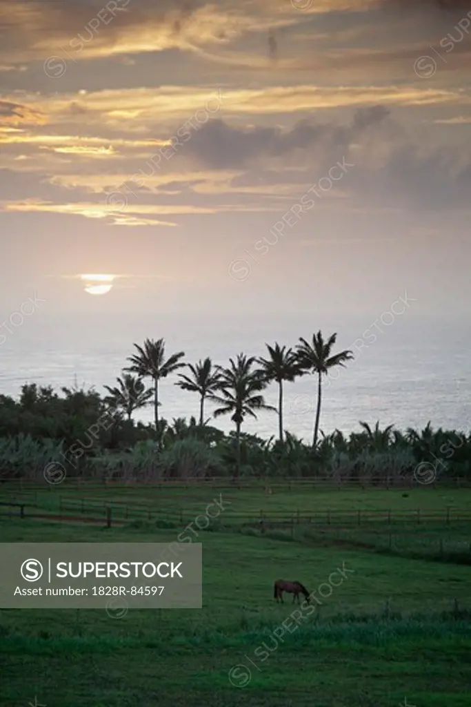 Hanalei Bay, Kauai, Hawaii, USA