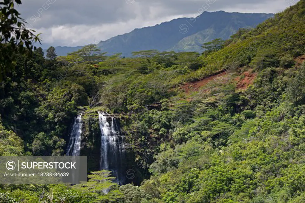 Opaeka'a Falls, Kauai, Hawaii, USA
