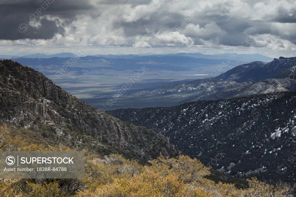 Great Basin National Park, Nevada, USA