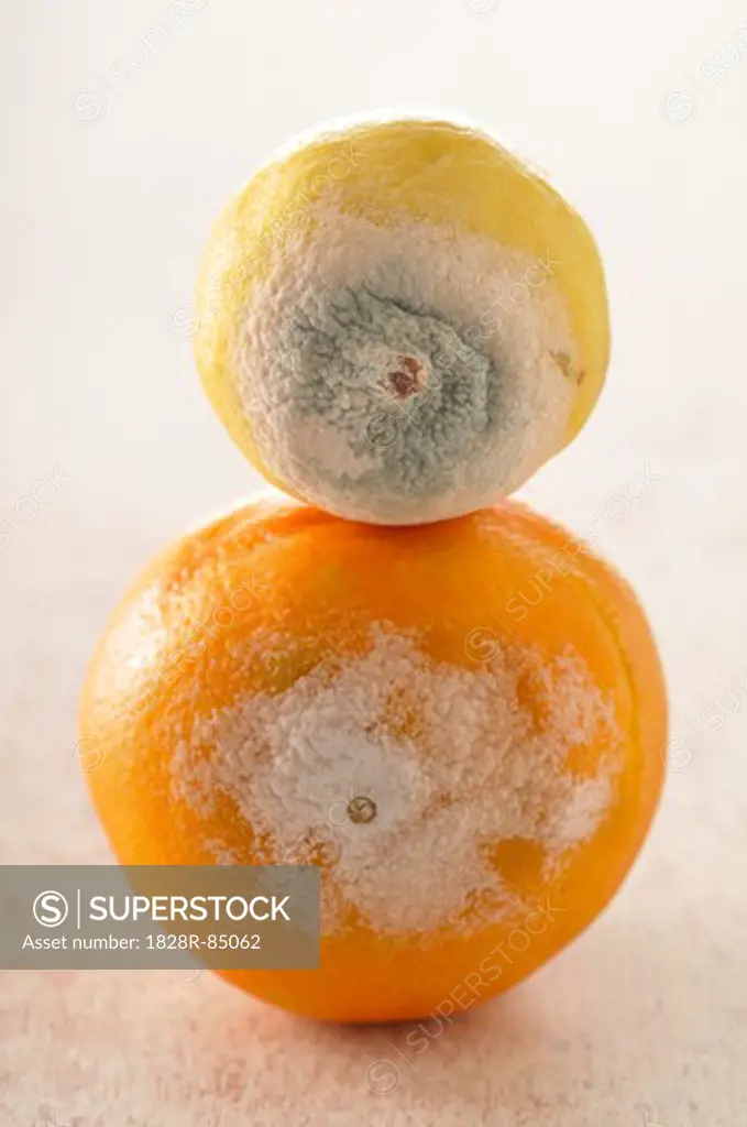 Moldy Orange and Lemon