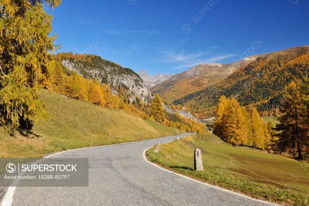 Road, La Punt-Chamues-ch, Albula Pass, Canton of Graubunden, Switzerland