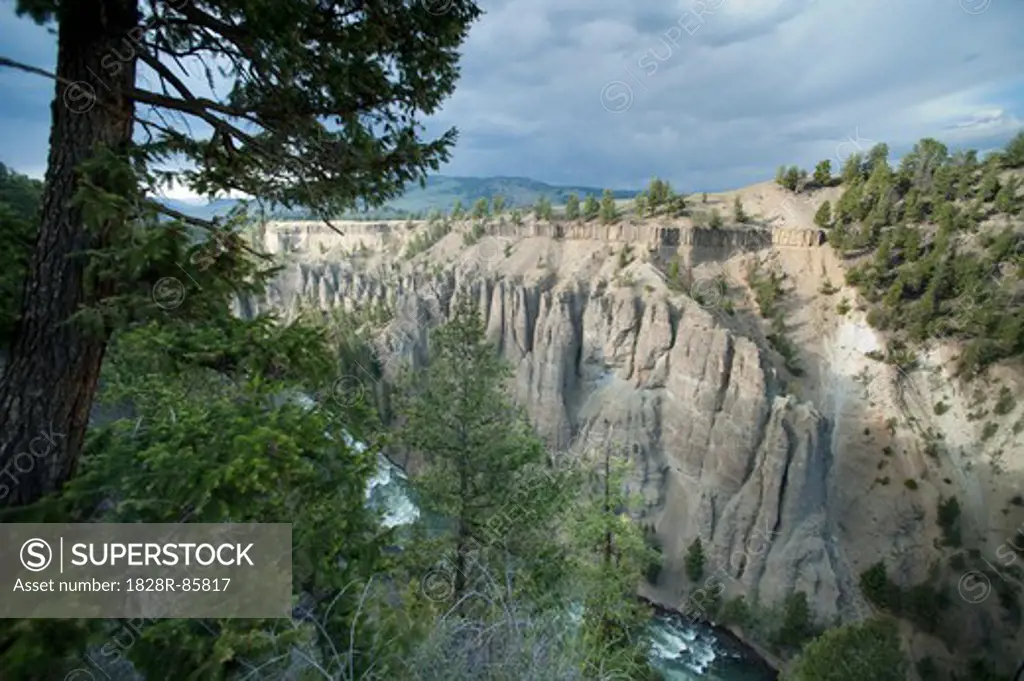 Overview of River and Gorge, Yellowstone National Park, Wyoming, USA