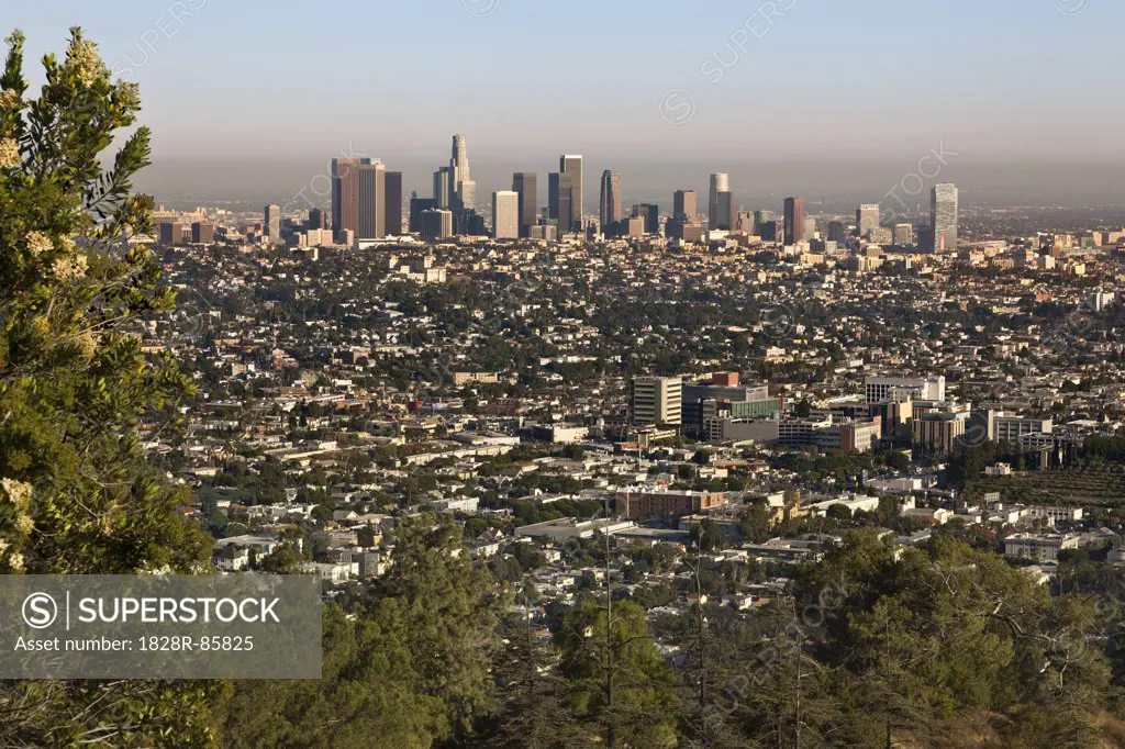 Overview of Downtown Los Angeles from Griffith Park, California, USA