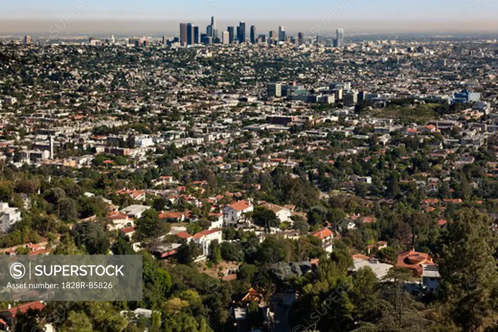 View of Downtown Los Angeles from Griffith Park, California, USA