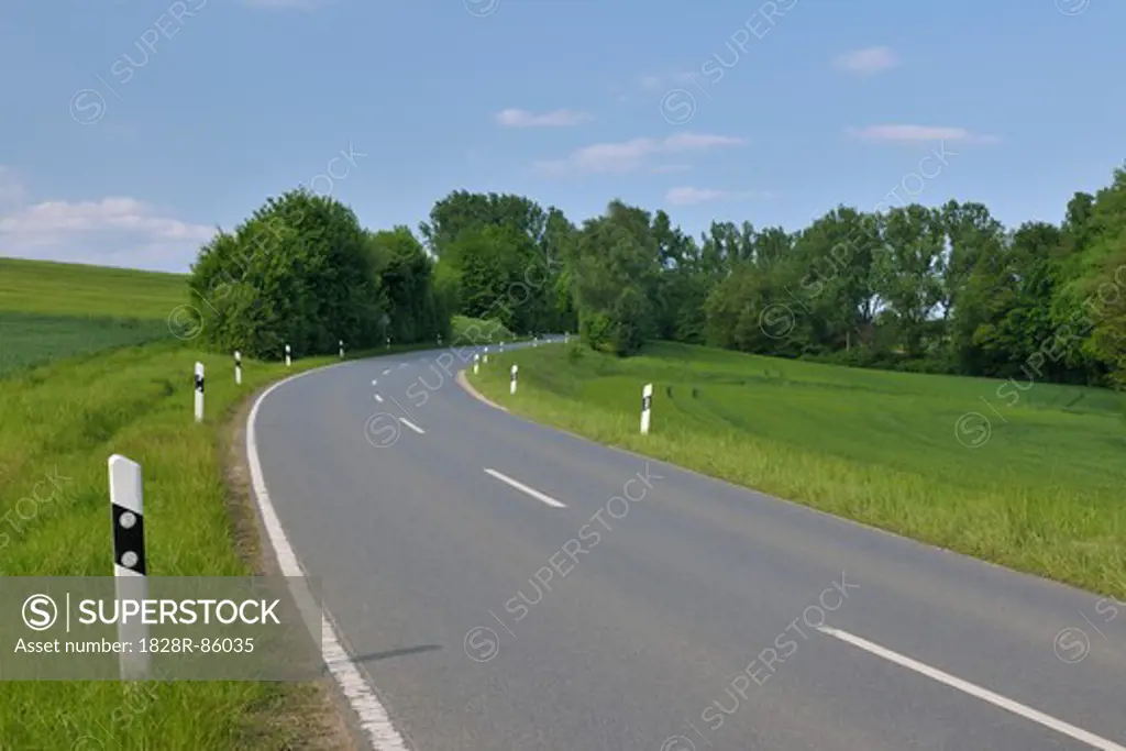 Winding Road, Reinheim, Darmstadt-Dieburg, Hesse, Germany