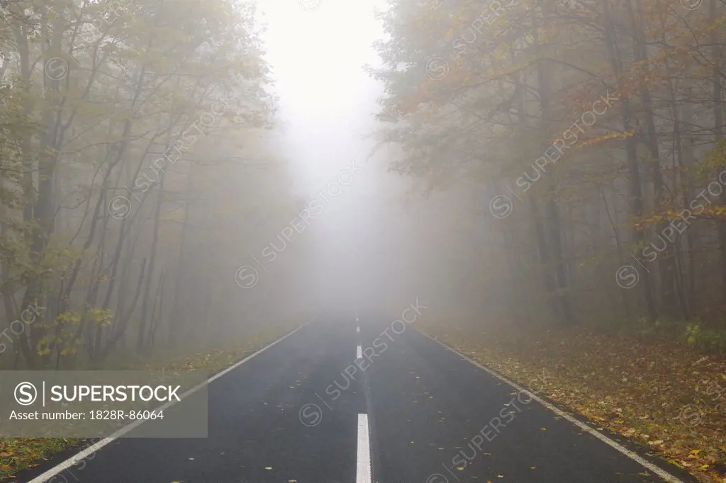 Country Road, Rhon Mountains, Hesse, Germany