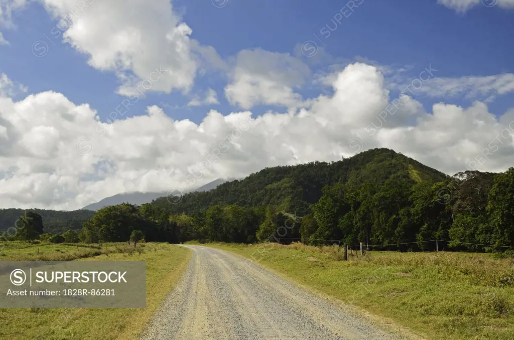 Country Road, Daintree, Queensland, Australia