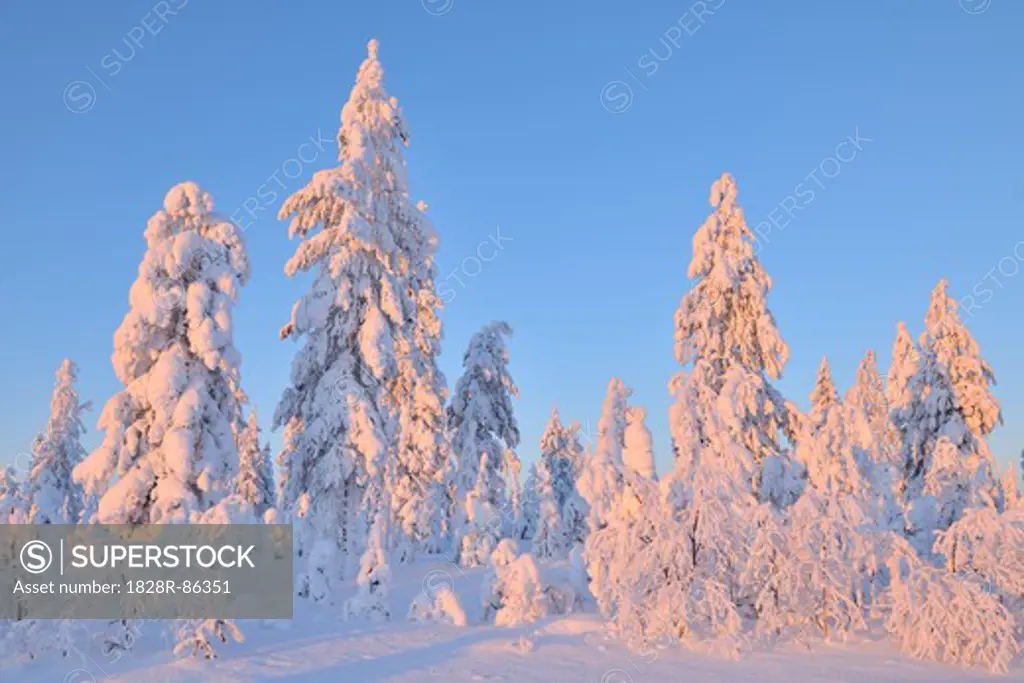 Kuusamo, Northern Ostrobothnia, Oulu Province, Finland