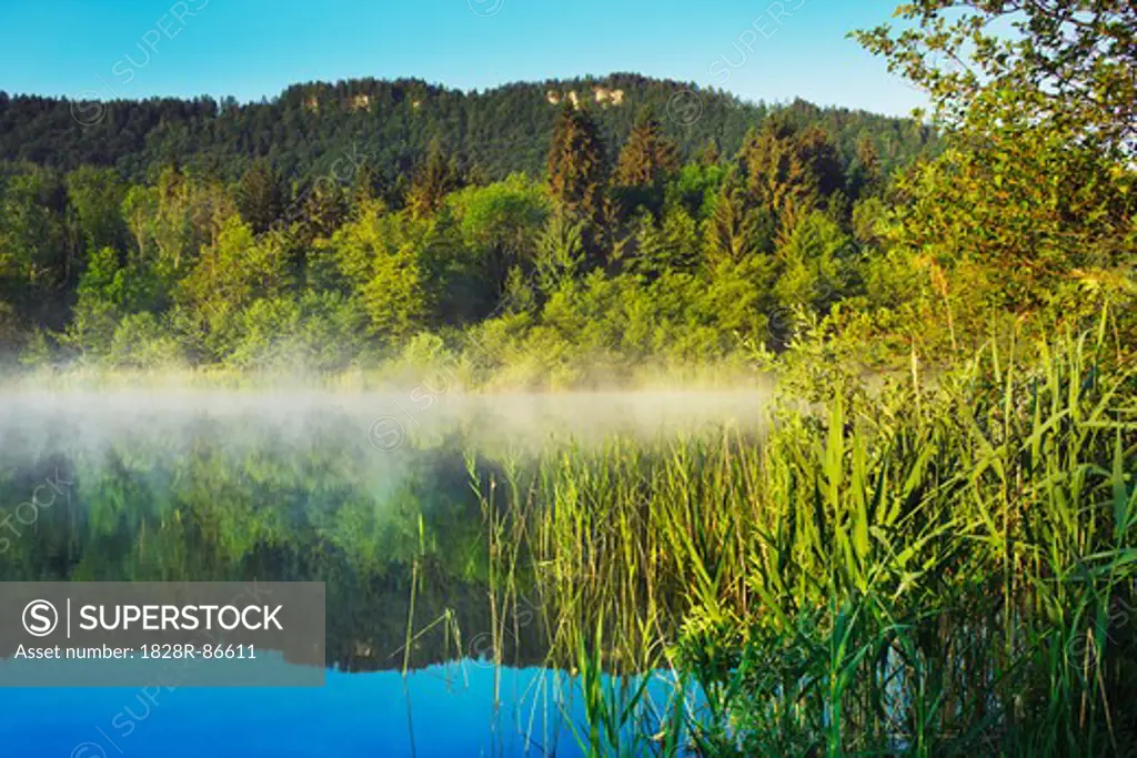 Pond with Fog at Rauschelesee, Klagenfurt, Carinthia, Austria