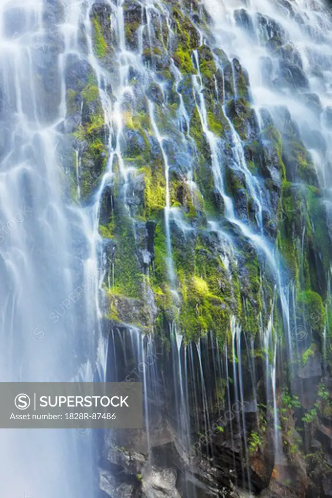Lower Proxy Falls, Willamette National Forest, Oregon, USA