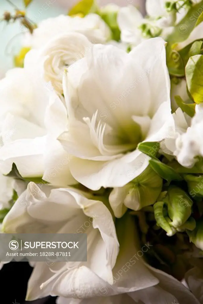 Close-up of Bridal Bouquet