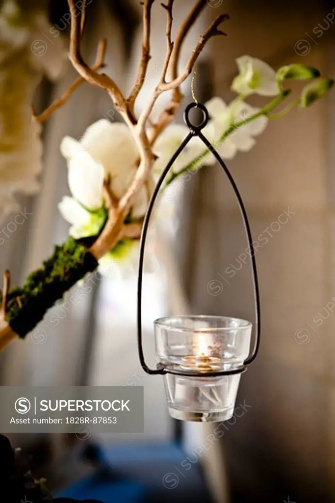Tea Light Hanging from Branch