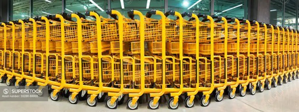 Shopping Carts at Mega Store