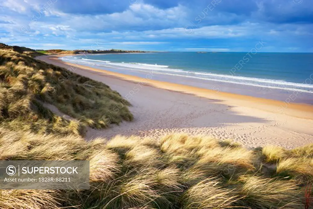 Grass Covered Dunes and Sandy Beach of Embleton Bay, Northumberland, England