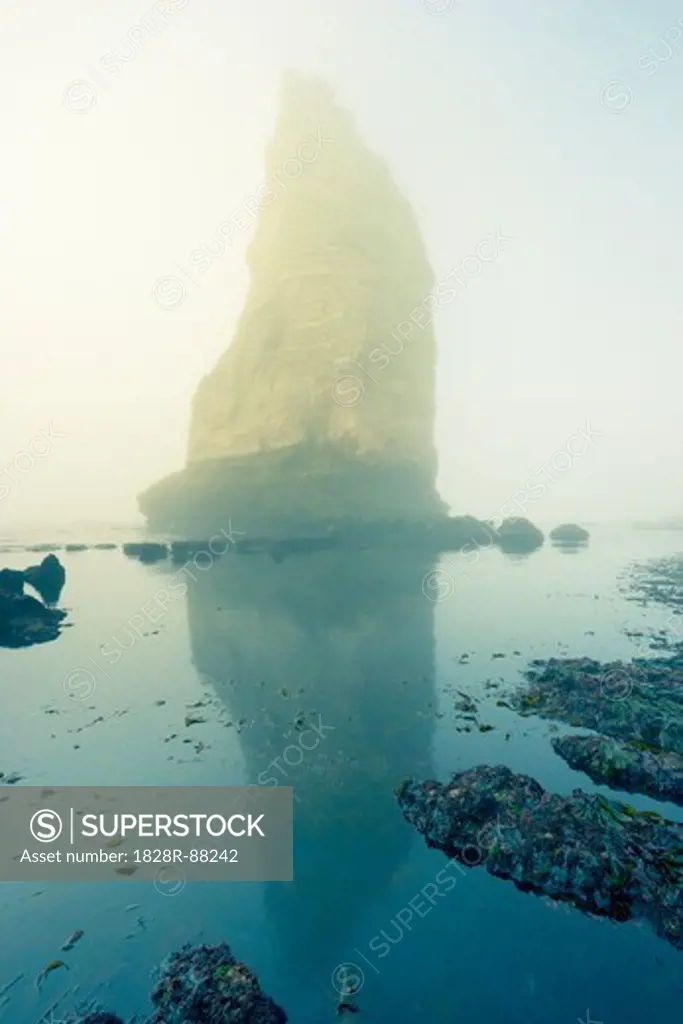 Sea Stack in Mist, Etretat, Normandy, France