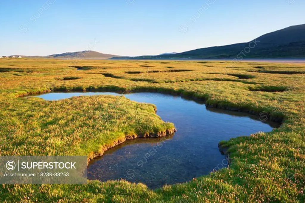 Tidal Pools in Salt Marsh, Isle of Harris, Outer Hebrides, Scotland