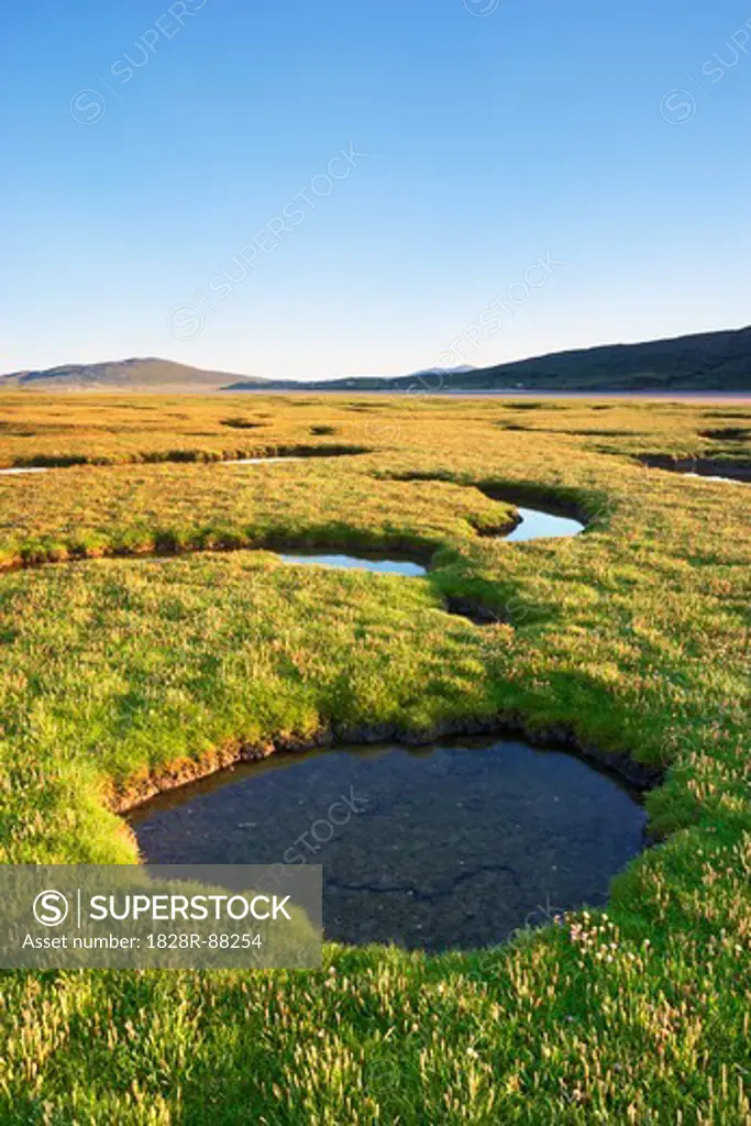Tidal Pools in Salt Marsh, Isle of Harris, Outer Hebrides, Scotland