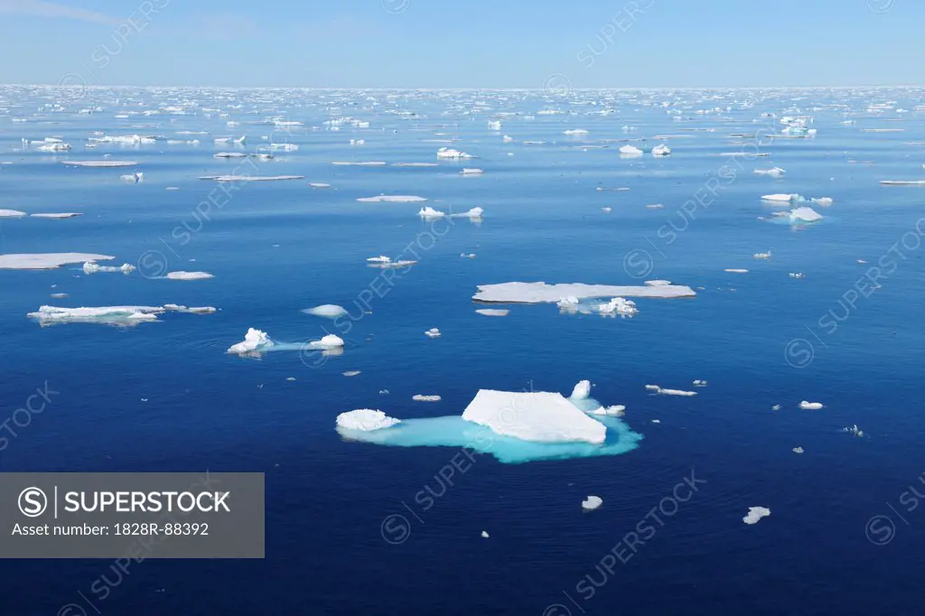 Ice Floe, Greenland Sea, Arctic Ocean, Arctic