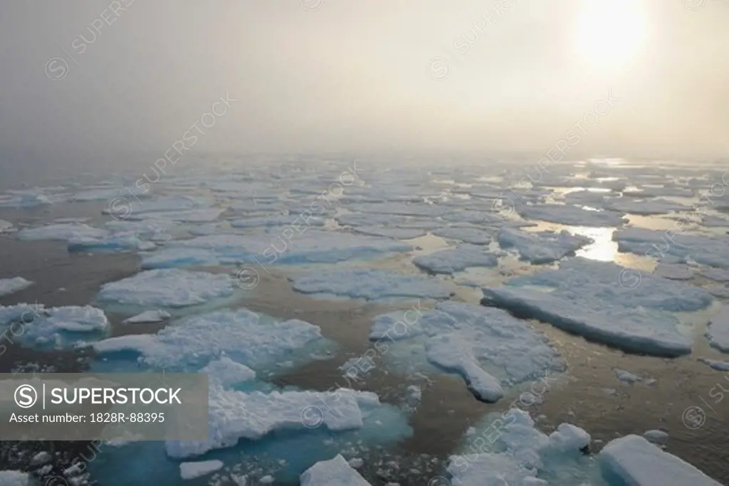 Pack Ice, Greenland Sea, Arctic Ocean, Arctic