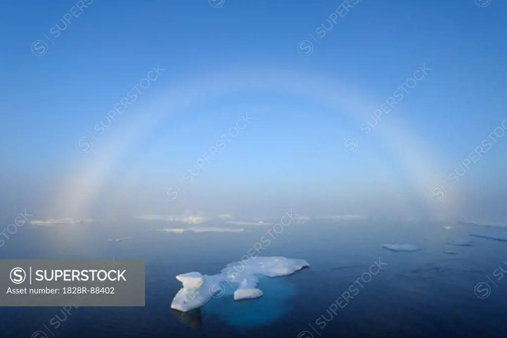 Fogbow, Greenland Sea, Arctic Ocean, Arctic