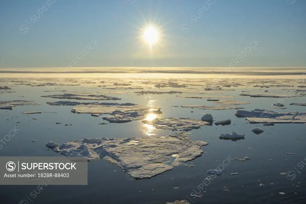 Pack Ice, Greenland Sea, Arctic Ocean, Arctic