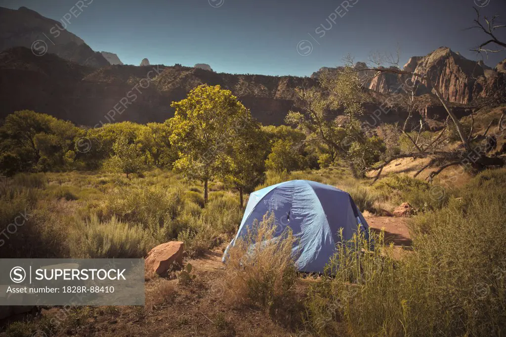 Campsite, Zion National Park, Utah, USA