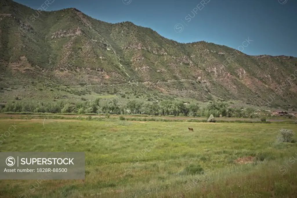 Scenic View of Mountain Ridge and Field, Interstate 70, Colorado, USA