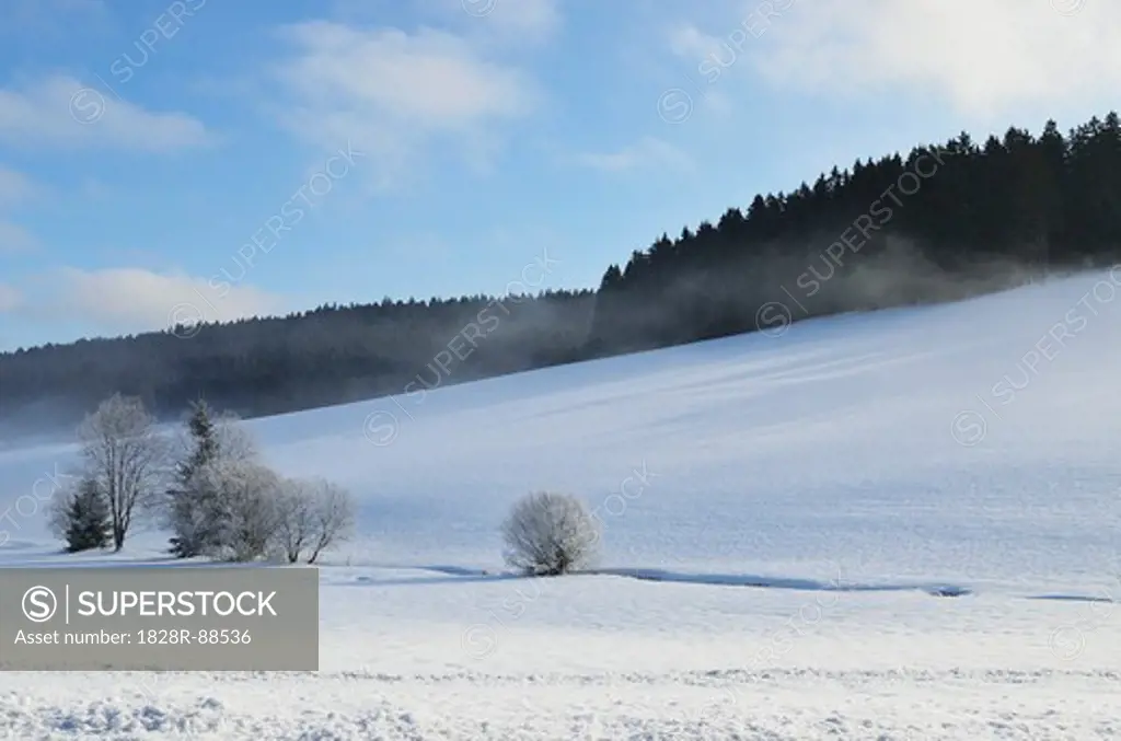 Winter Landscape, Mittelschollach, Black Forest, Baden-Wurttemberg, Germany