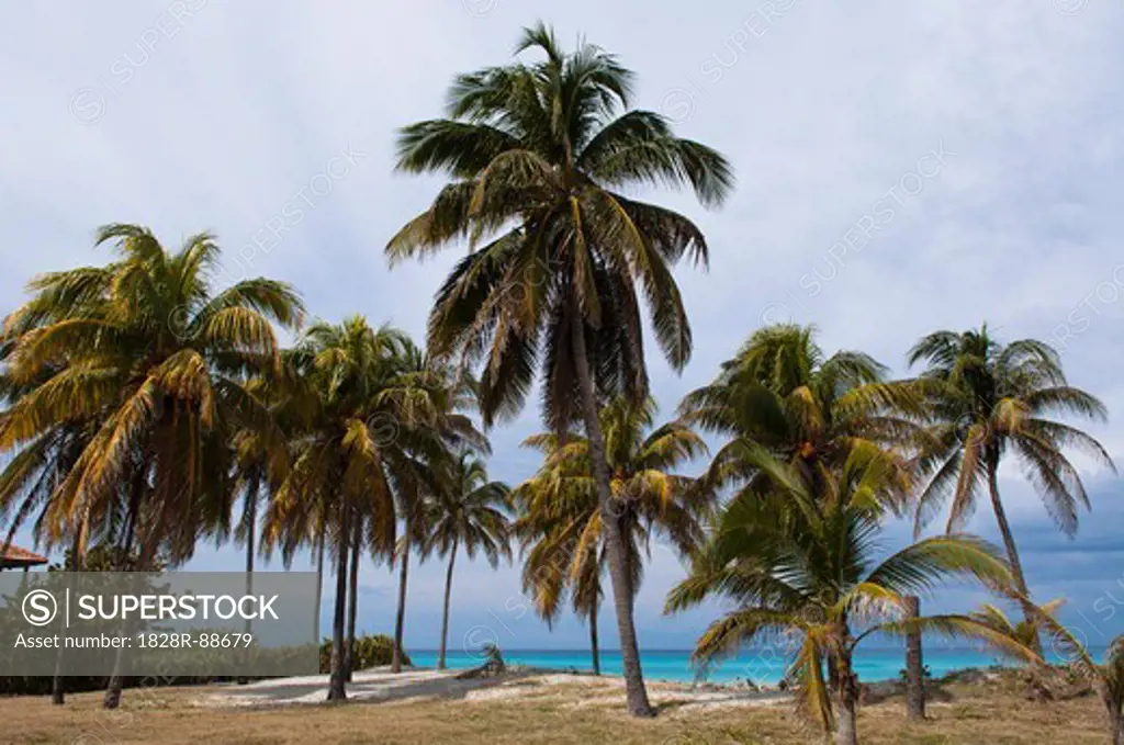 Beach, Varadero, Matanzas Province, Cuba