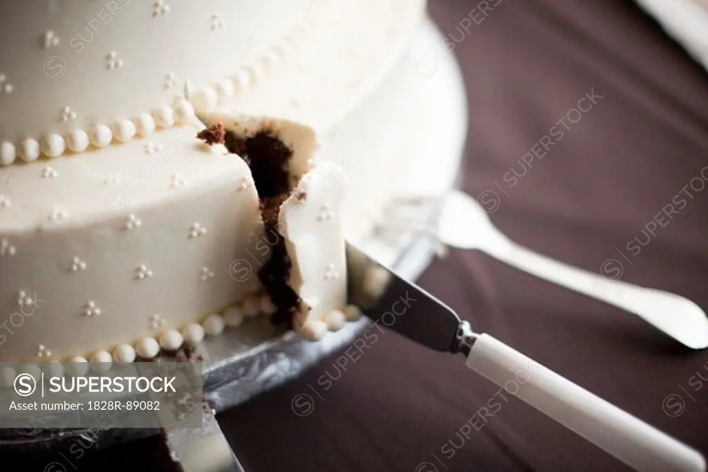 Close-up of Wedding Cake being Cut