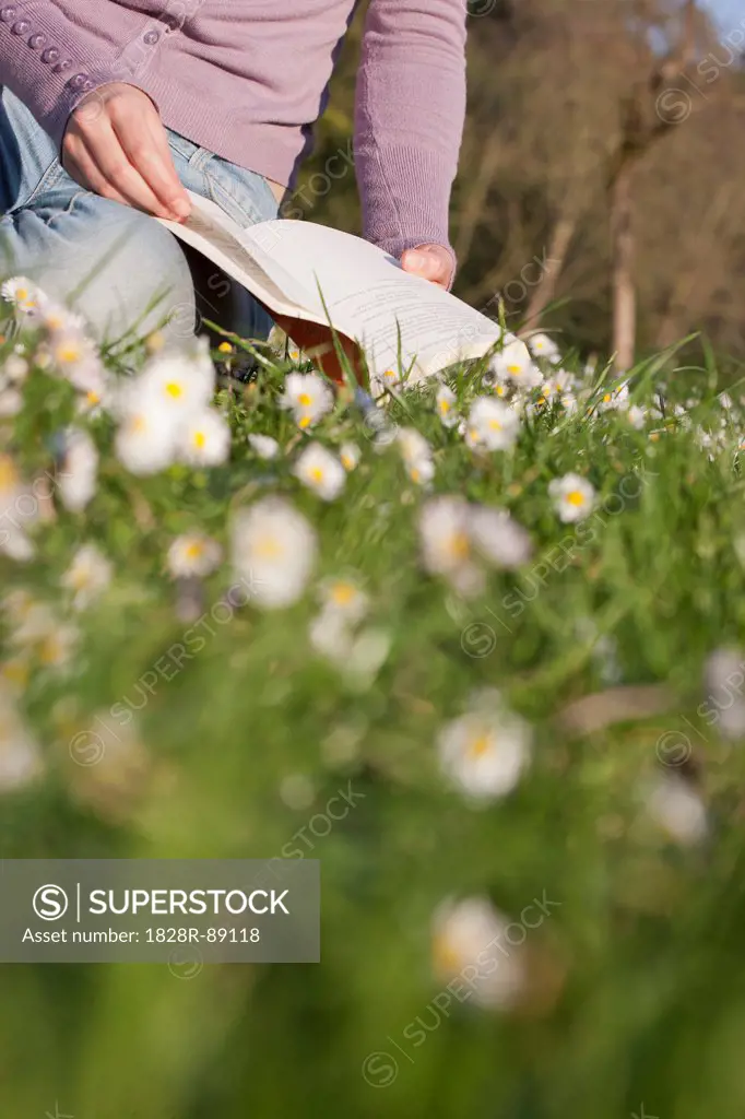 Woman Reading in Park