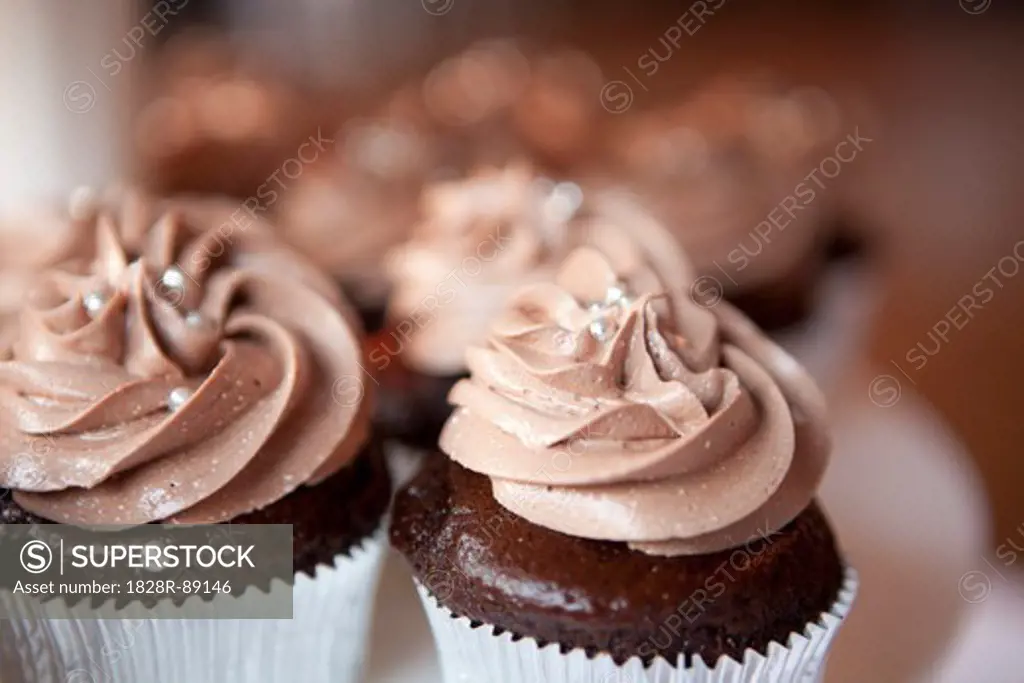 Chocolate Cupcakes at Wedding, Toronto, Ontario, Canada