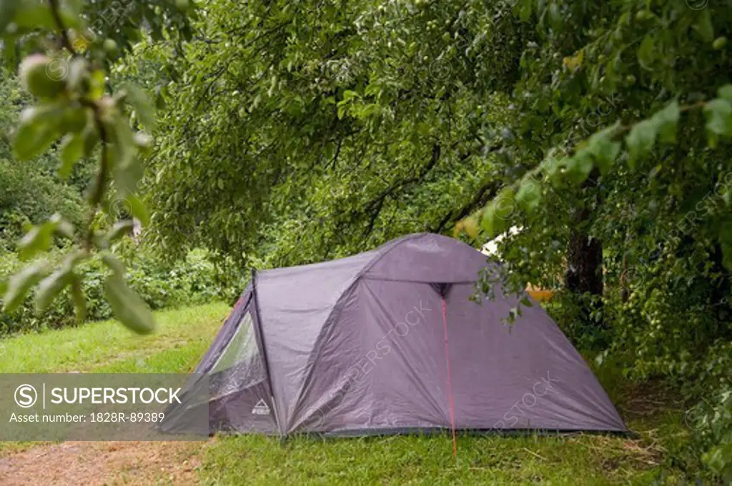 Camping Tent, Freiburg, Baden-Wurttemberg, Germany