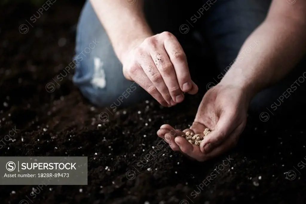 Man Planting Nasturtium Seeds in Garden